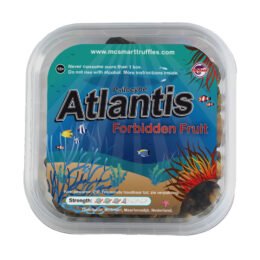 Buy Atlantis Magic Truffles in Europe