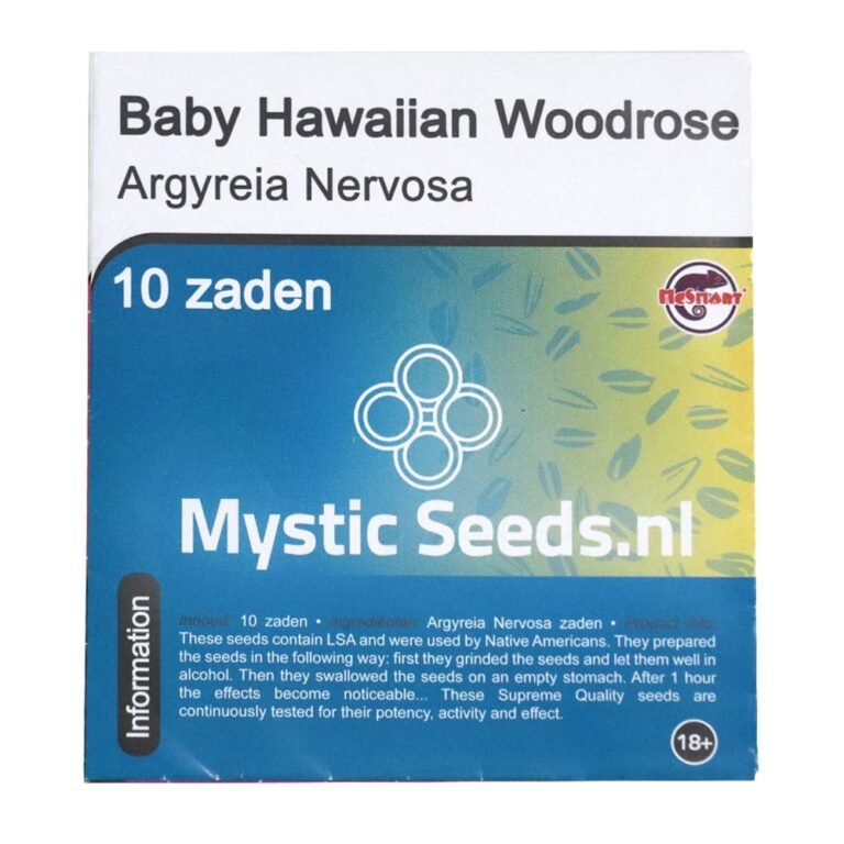 Buy Baby Hawaiian Woodrose (Argyreia Nervosa) 10 Seeds in Europe