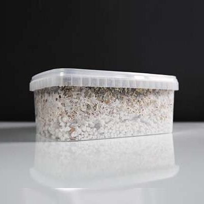 Buy Magic Mushroom Growkit 'Cambodian' in Europe