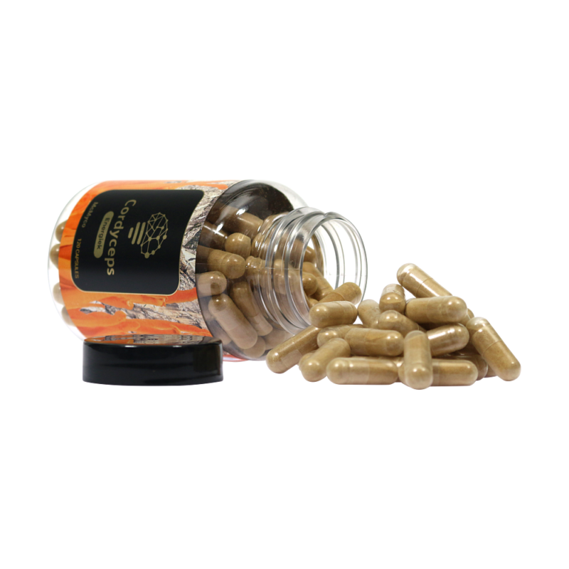 Cordyceps extract capsules - 120 stuks 2
