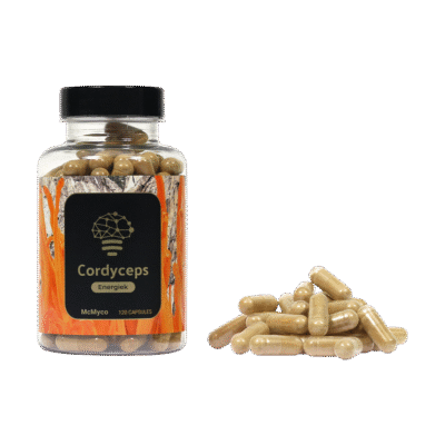 Buy Cordyceps Extract (120 capsules) in Europe