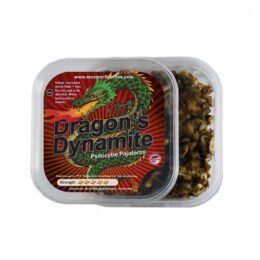 Buy Dragons Dynamite in Europe
