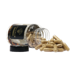 Koop Lion's Mane Extract (120 capsules) in Europa