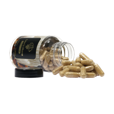 Koop Lion's Mane Extract (120 capsules) in Europa