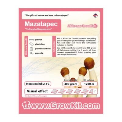 Buy Mazatapec Magic Mushrooms Growkit in Europe