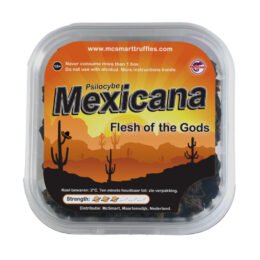 Buy Mexicana Magic Truffles in Europe