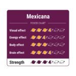 Buy Mexicana Magic Truffles in Europe