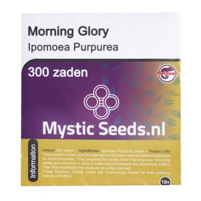 Buy Morning Glory (Ipomoea Violacea) 300 Seeds in Europe