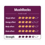 Koop MushRocks Truffels in Europa
