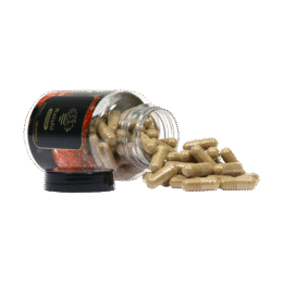 Koop Reishi Extract (120 capsules) in Europa