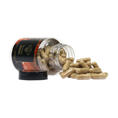 Koop Reishi Extract (120 capsules) in Europa
