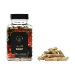 Koop Reishi Extract (120 capsules) in Europa