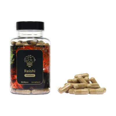 Koop Reishi Extract (120 capsules) in Europa