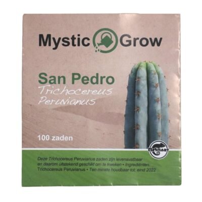 Buy San Pedro Cactus - T. Peruvianus 100 Seeds in Europe