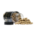 Buy Turkey Tail Extract (120 capsules) in Europe