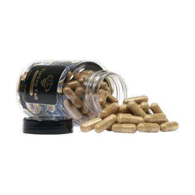 Buy Turkey Tail Extract (120 capsules) in Europe