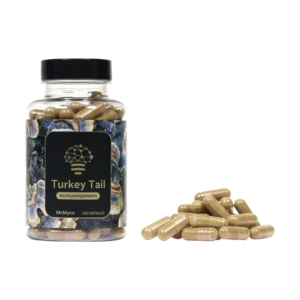 Turkey Tail extract capsules