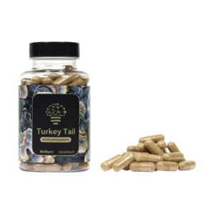 Turkey Tail extract capsules