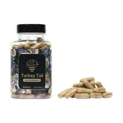 Buy Turkey Tail Extract (120 capsules) in Europe