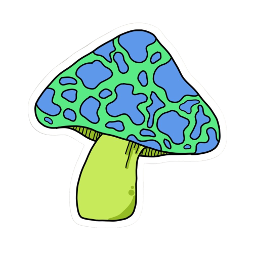mushroom picture