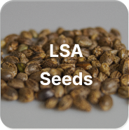 LSA Seeds