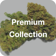 Premium Collection