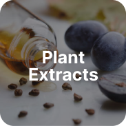 Plant Extracts & Seeds