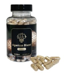 Koop Agaricus Blazei Extract in Europa