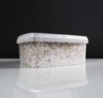 Koop B Plus Growkit in Europa
