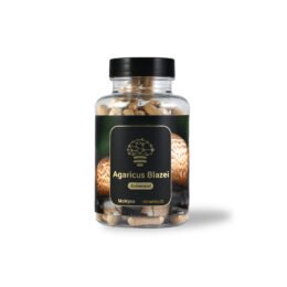 Koop Agaricus Blazei Extract in Europa