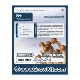 Koop B Plus Growkit in Europa