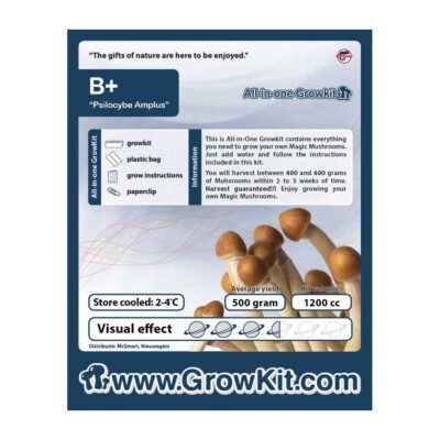 Buy B Plus Growkit in Europe