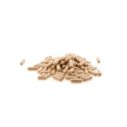 Koop Brain Booster - 120 capsules in Europa