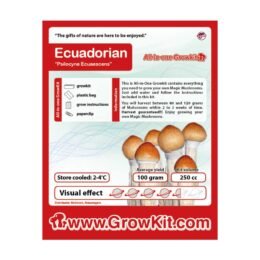 Ecuadorian 250cc