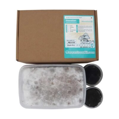 Buy Hawaiian Growkit in Europe
