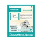 Koop Hawaiian Growkit (Psilocybe Copelandia) in Europa