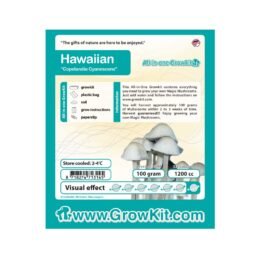 Koop Hawaiian Growkit (Psilocybe Copelandia) in Europa