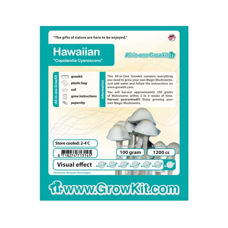 Koop Hawaiian Growkit (Psilocybe Copelandia) in Europa