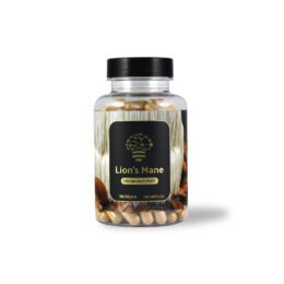 Koop Lion's Mane extract in Europa