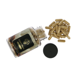 Koop Lion's Mane extract in Europa