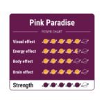 Koop Pink Paradise Magic Truffles in Europa