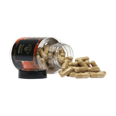 Koop Reishi extract in Europa