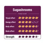Koop Magic Truffles SugaShrooms in Europa