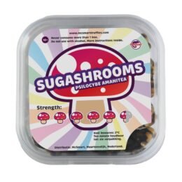 Koop Magic Truffles SugaShrooms in Europa