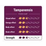 Koop Magic Truffles Tampanensis in Europa