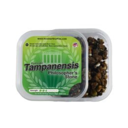 Koop Magic Truffles Tampanensis in Europa